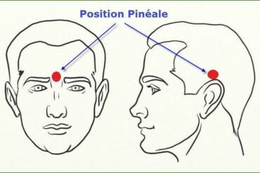 Soulager la Fibromyalgie et les Maladies Auto-immunes avec les Soins Énergétiques